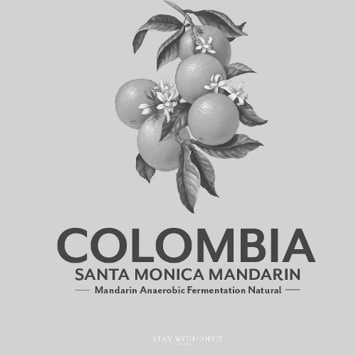 [21.05~21.09] 콜롬비아 산타모니카 만다린::스테이위드커피